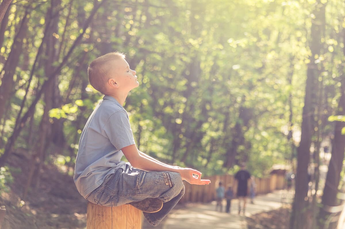 Mindfulness and Meditation in 5 Minutes or Less - A child sitting in the middle of a forest path, meditating under the sun.