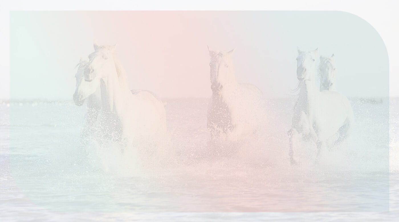 3 Layers of SOULeadership That Can Turn Around a Distressed Organization - Image shows a group of white horses running in the water